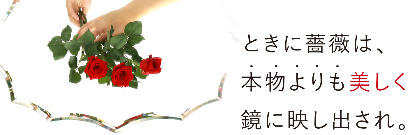 ときに薔薇は、本物よりも美しく鏡に映し出され。